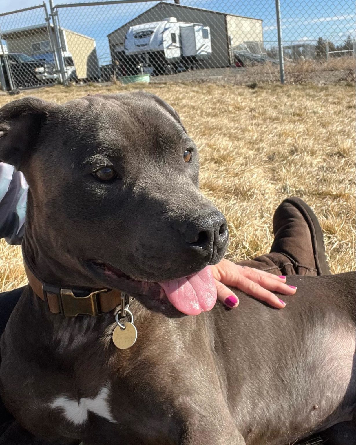 Humane Society of the Ochocos A NoKill Shelter